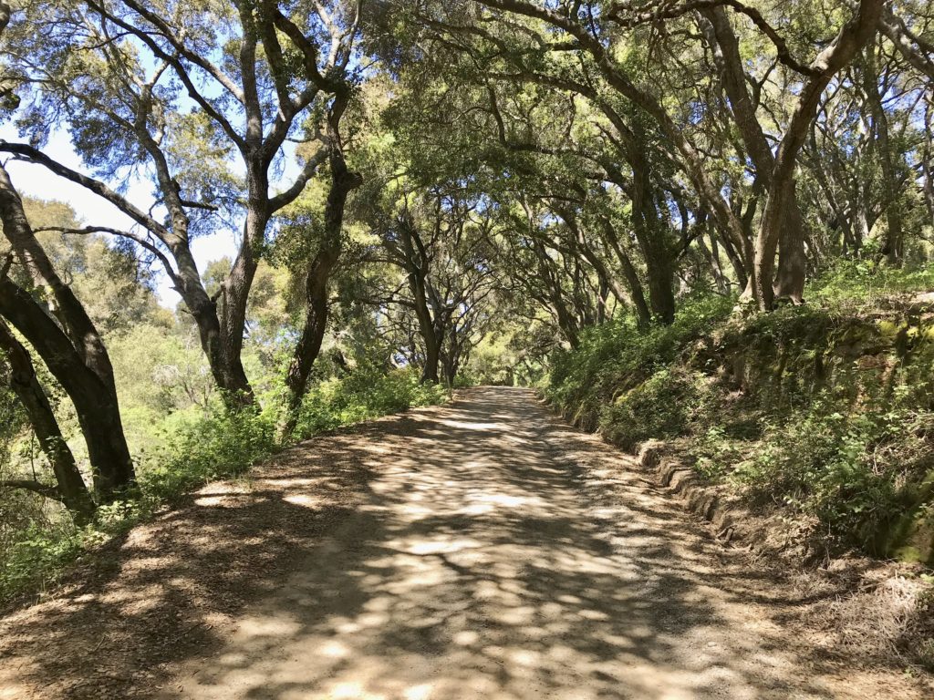 Hills and sky near Prefumo Canyon and Avila
